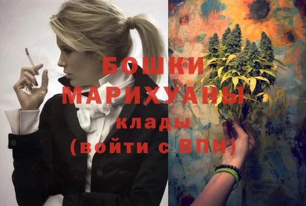 твердый Осинники