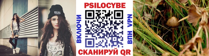 Галлюциногенные грибы Psilocybe Благодарный