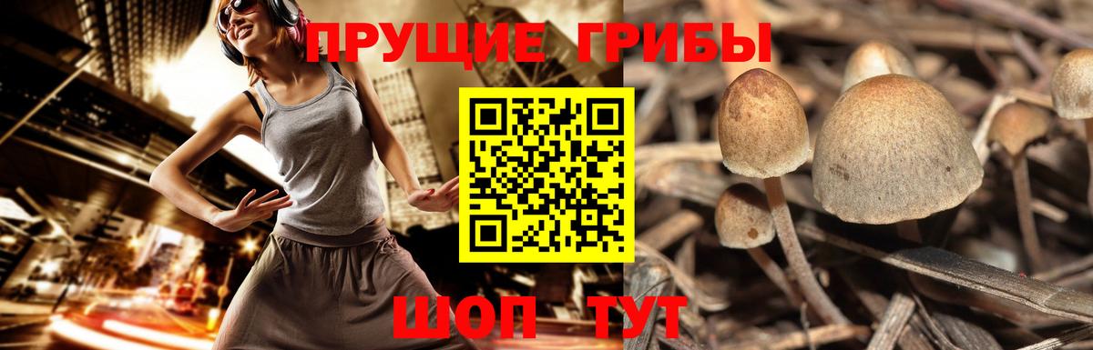 АМФЕТАМИН Благодарный