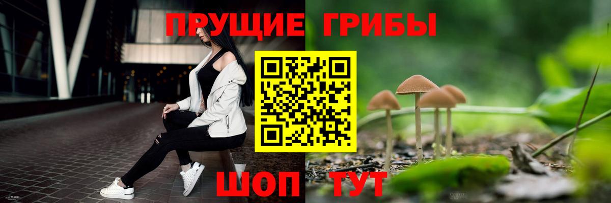 Галлюциногенные грибы Psilocybe  Благодарный  Псилоцибиновые грибы MAGIC MUSHROOMS 