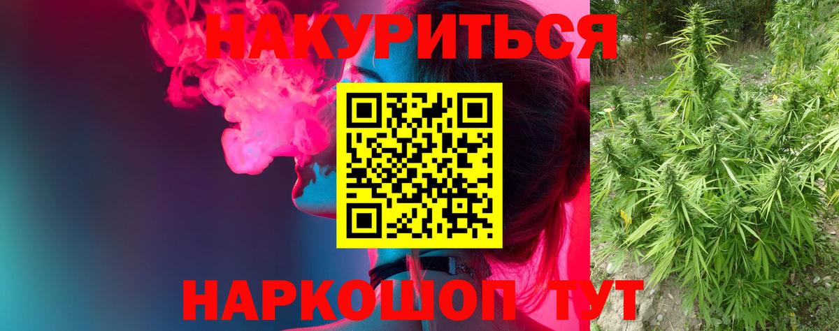 Конопля VHQ  Конопля гибрид  Благодарный  Конопля Bruce Banner  Вход с VPN 