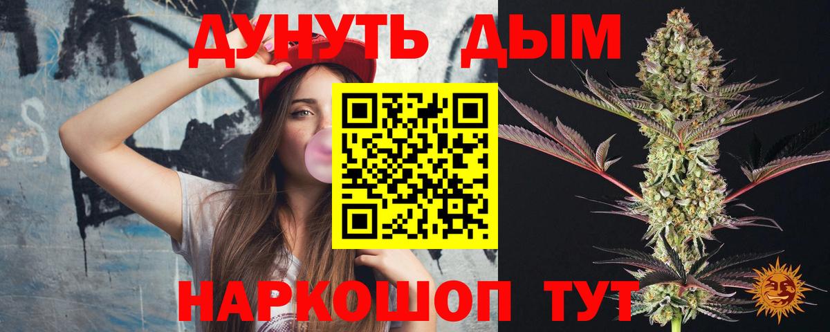 Бошки Шишки марихуана  Бошки Шишки семена  Конопля MAZAR  Канабис гибрид  Благодарный 